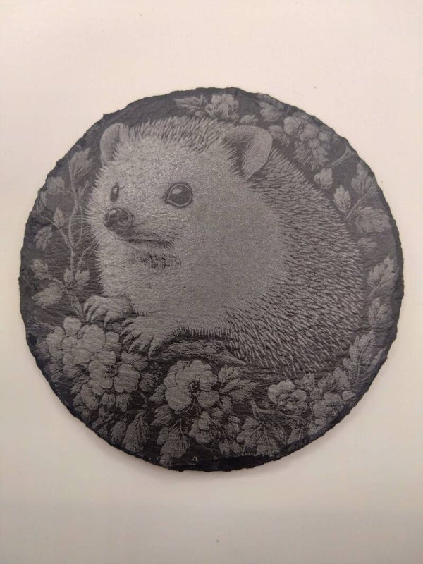 Hedgehog and flowers