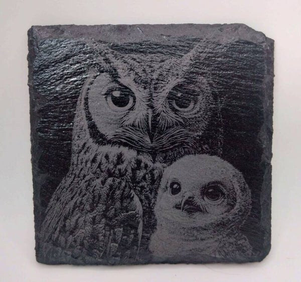Owl and young