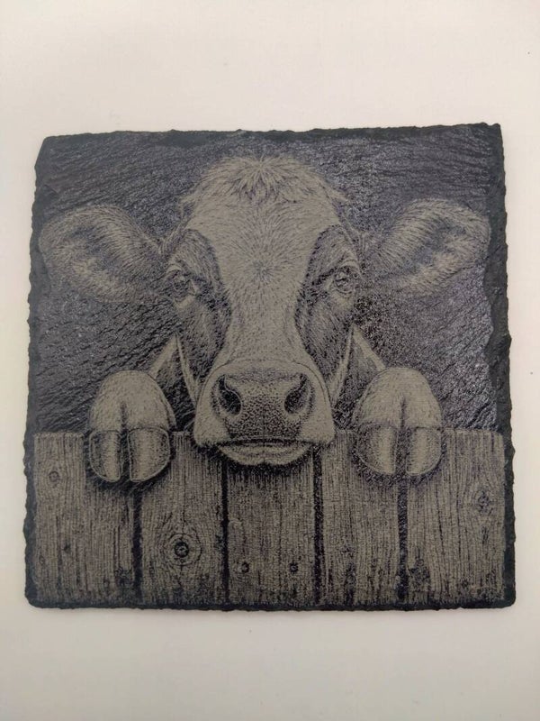 Peeping Cow