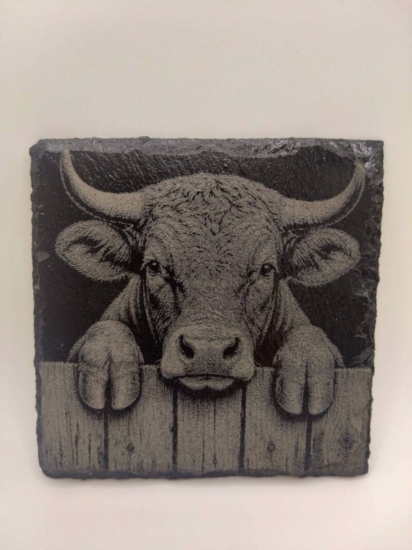 Peeping Bull