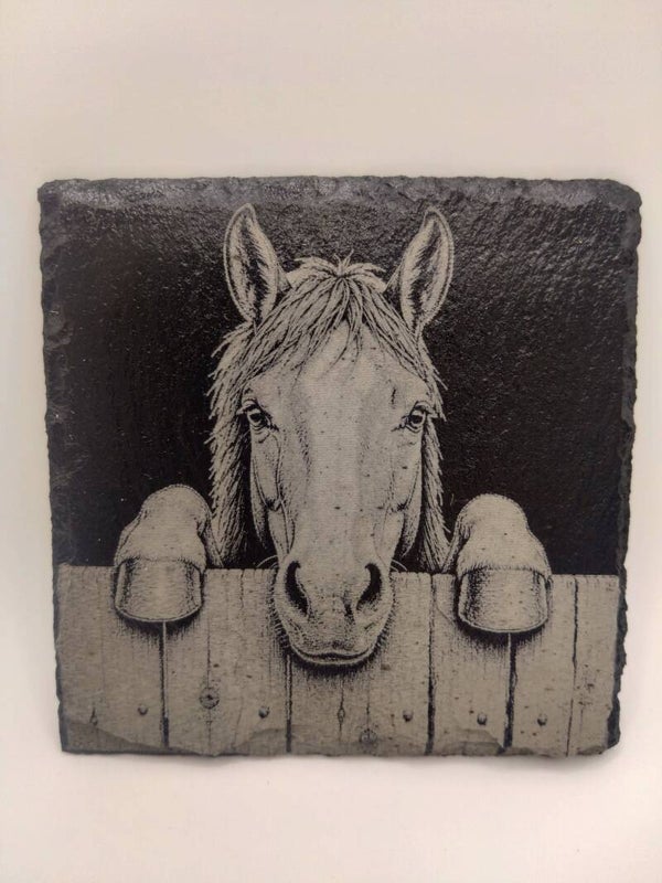Peeping Horse