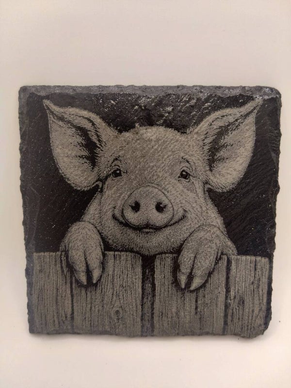 Peeping Pig