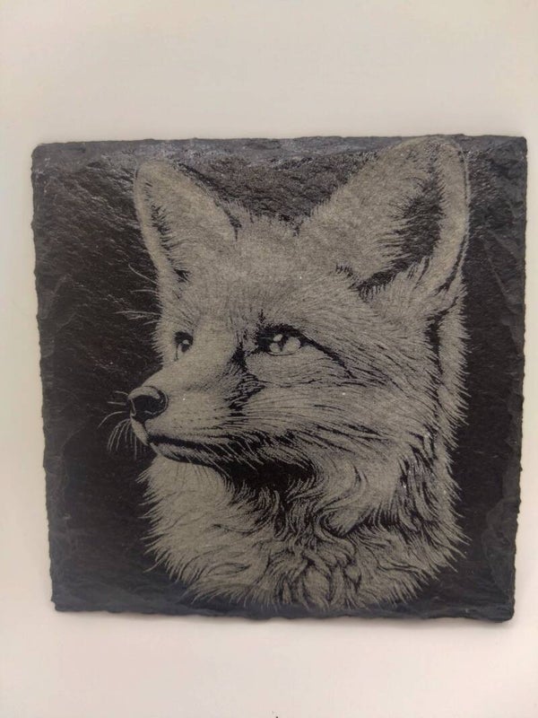 Fox Portrait