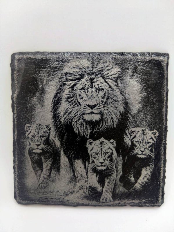 Lion Family