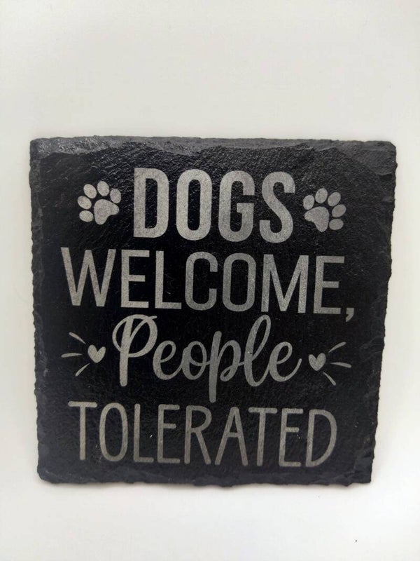Dogs Welcome