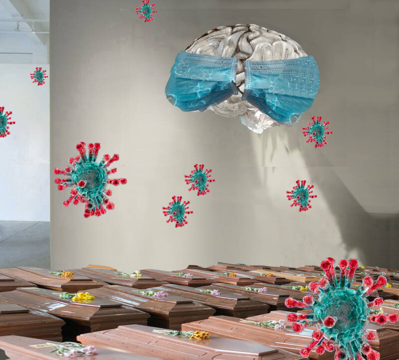 juliet vles official website