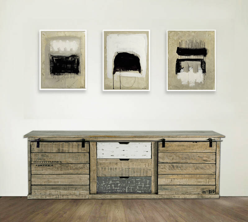 juliet vles official website