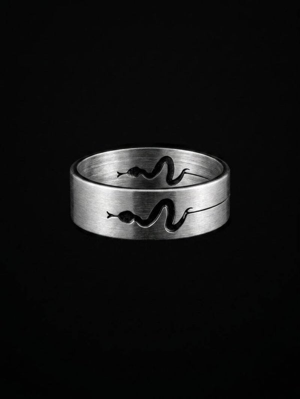 Stalen ring slang