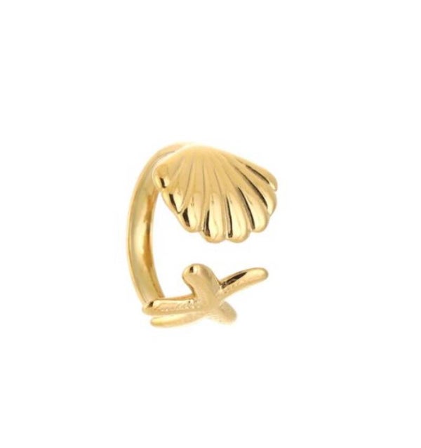 Ring schelpjes