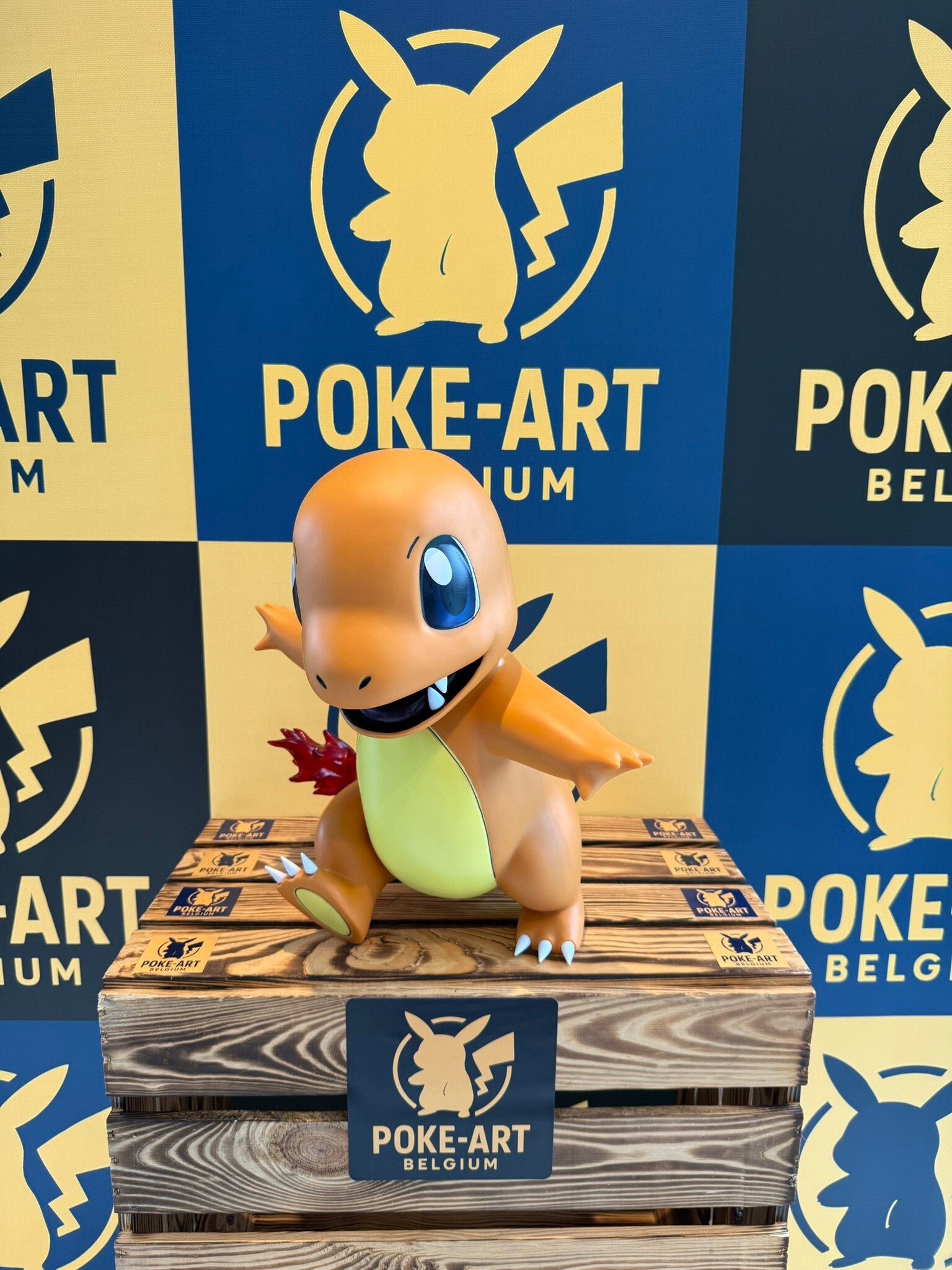 Charmander Fire Tail ANIME