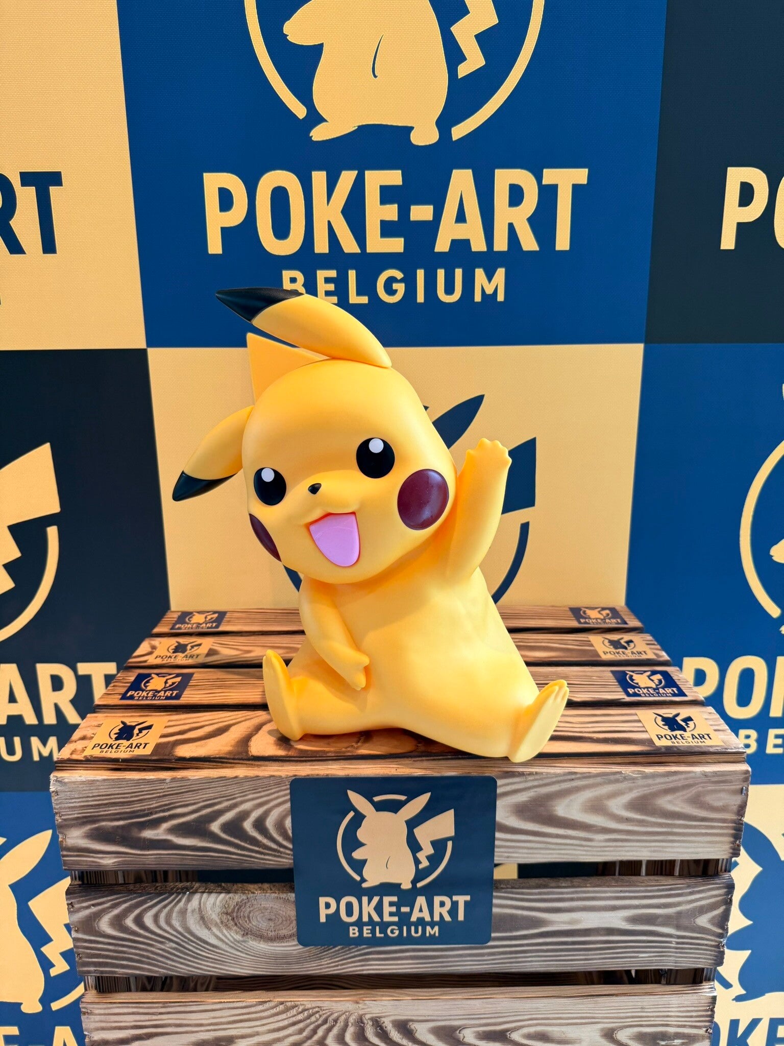 Pikachu ANIME