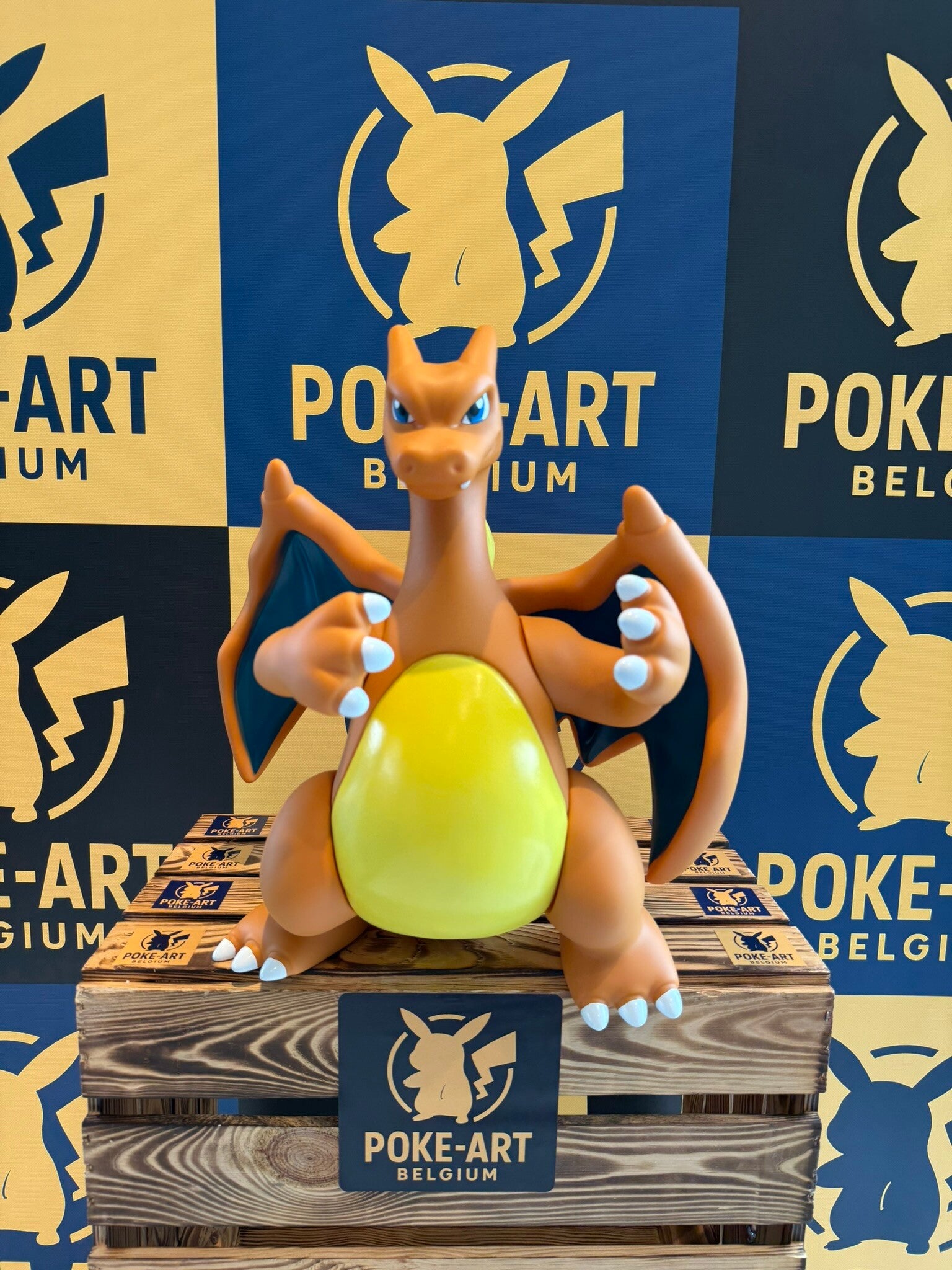 Charizard ANIME