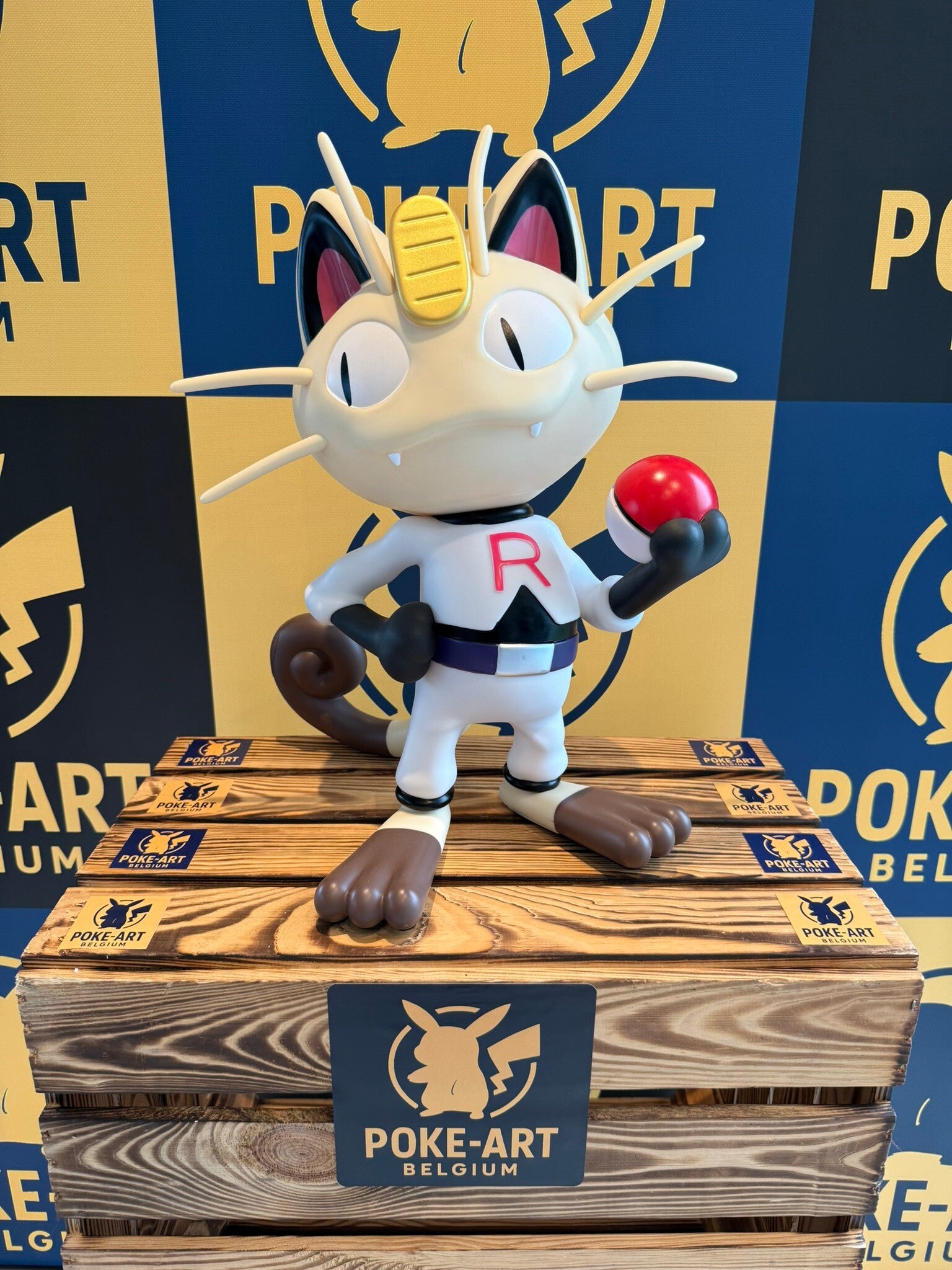 Meowth  Team Rocket ANIME