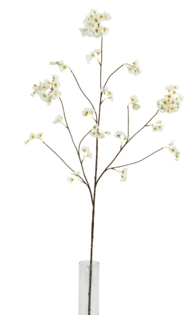 Bloesemtak Creme