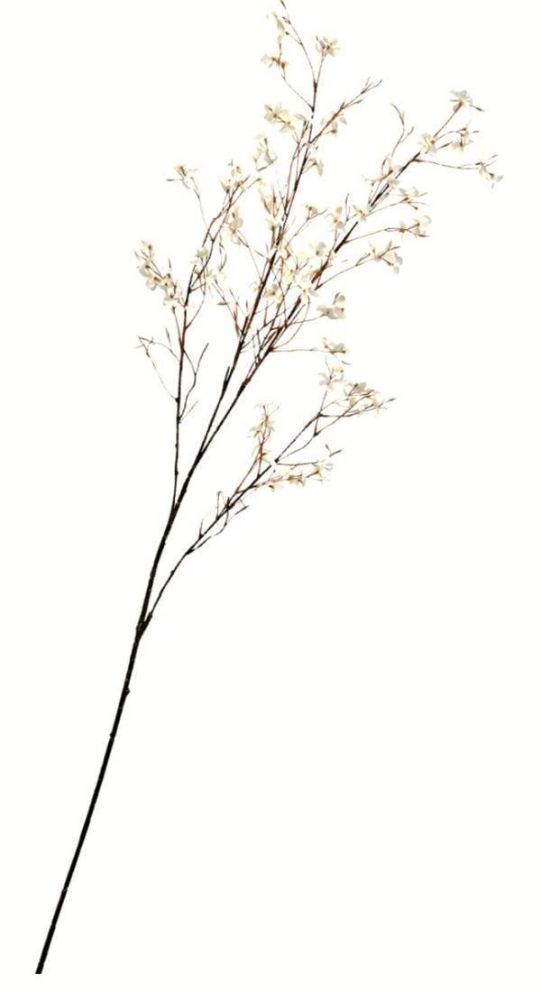 Blossom branch