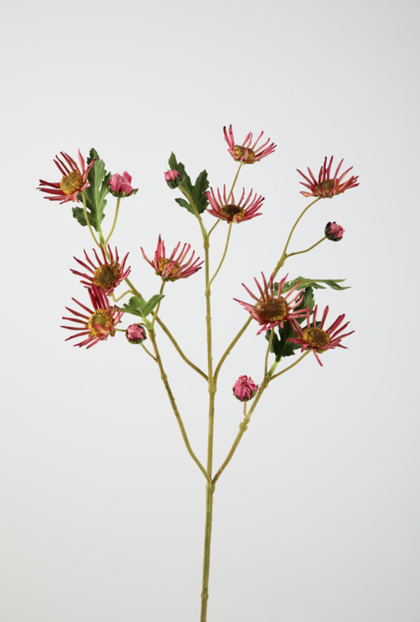 Mum spray Peach/Cerise