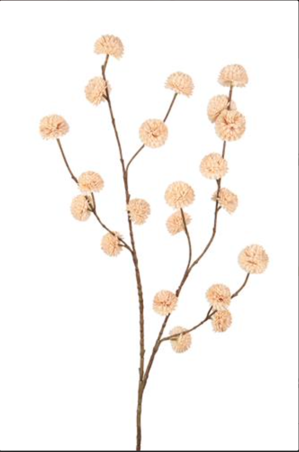 Pompon New  100 cm Creme