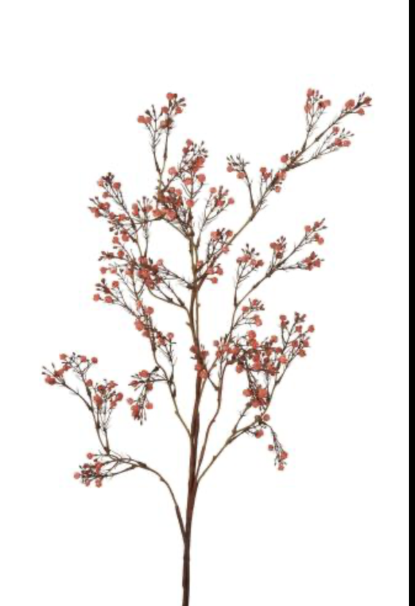 Gipskruid  herfst orange