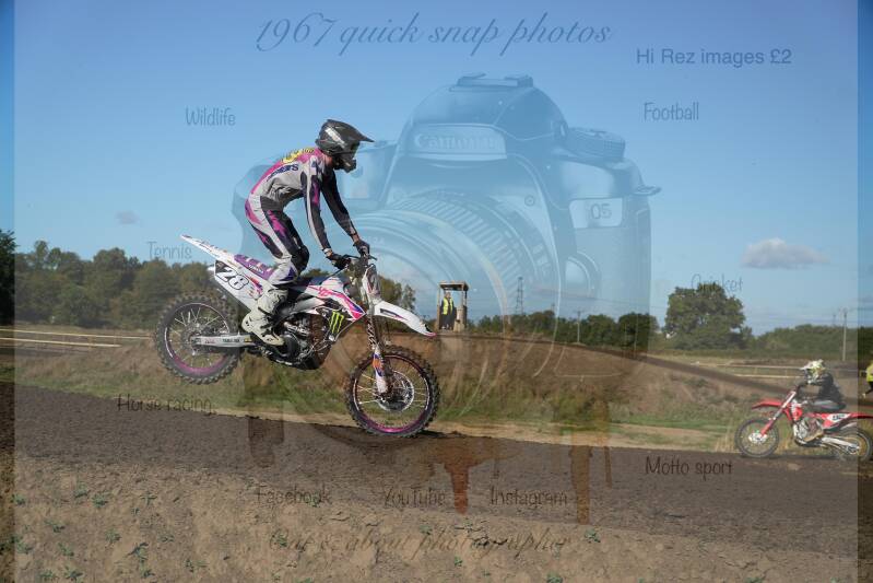 dsc00017-standard-icm4pz.jpg