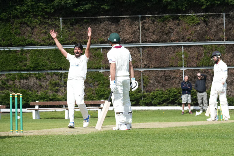 dsc00069-standard-8lfbh8.jpg