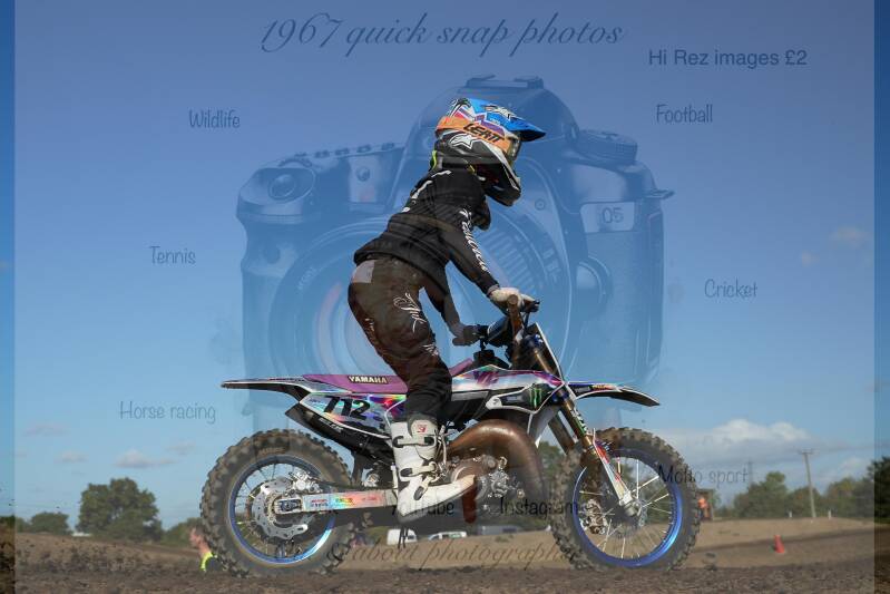 dsc00108-standard-53q26d.jpg