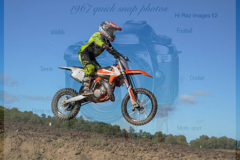 dsc00115-standard.jpg