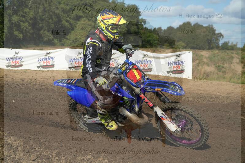 dsc00254-standard-mslqgj.jpg