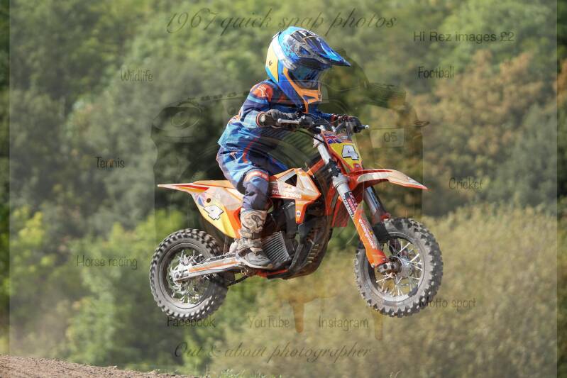 dsc00335-standard-96kyh2.jpg