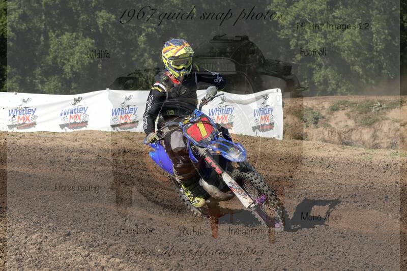 dsc00459-standard-61wrpw.jpg
