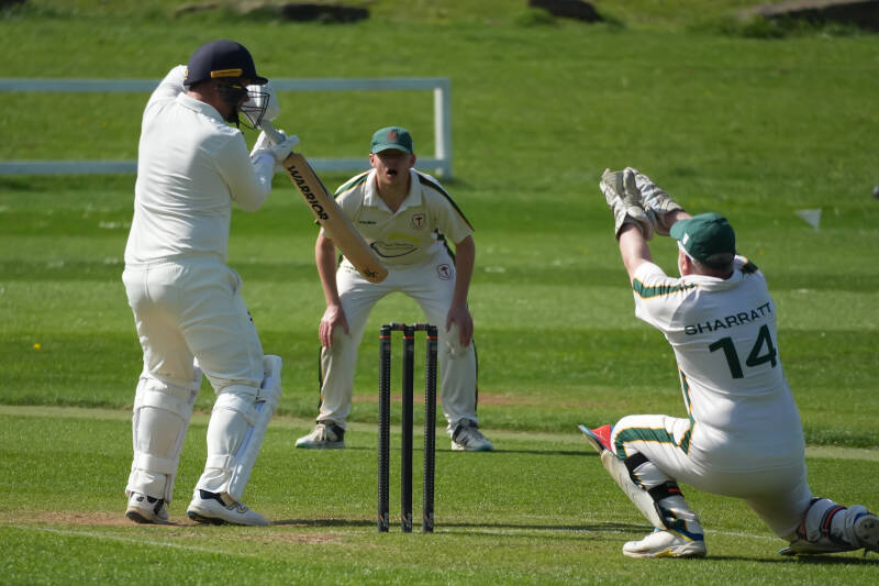 dsc00504-standard.jpg