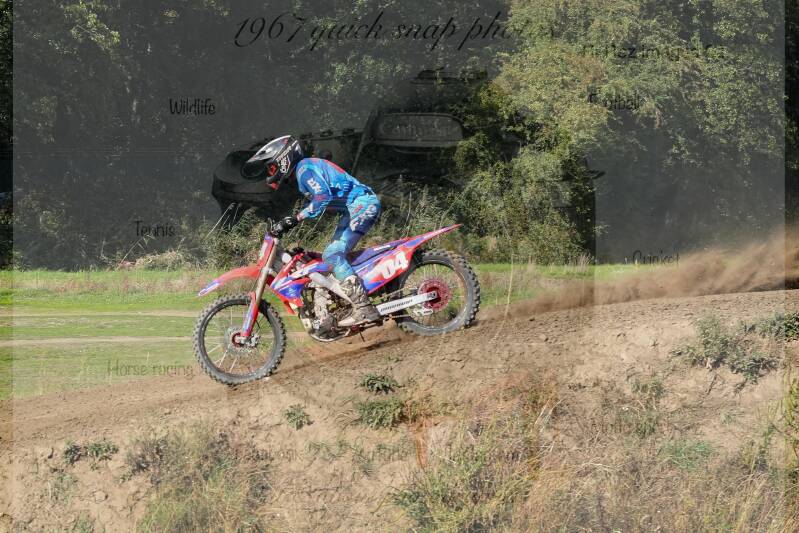 dsc00532-standard-itjibg.jpg