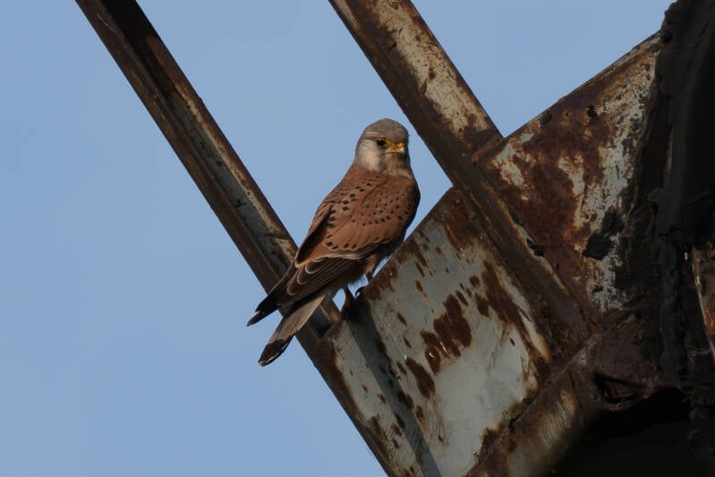 dsc01089-standard-wiyjwn.jpg