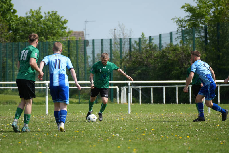 dsc01493-standard.jpg