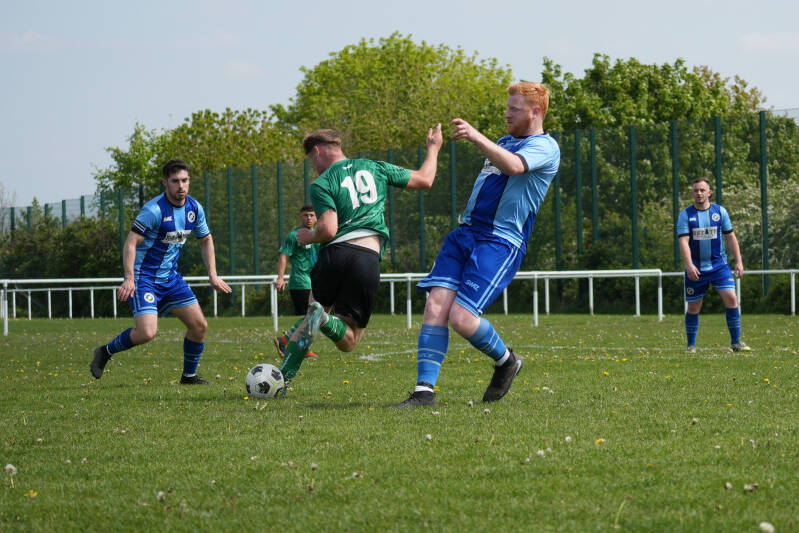 dsc01611-standard.jpg
