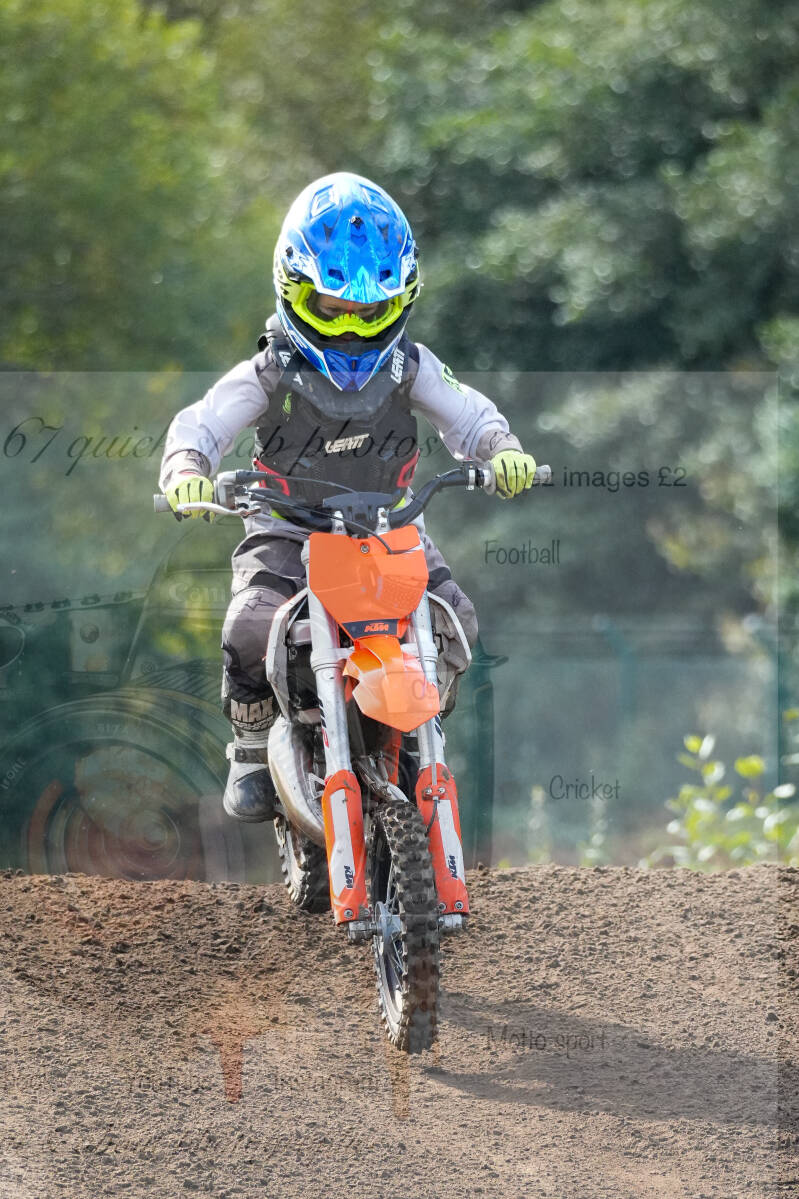 dsc02317-standard.jpg