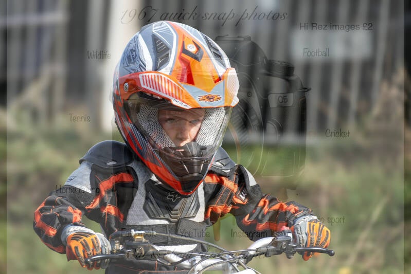 dsc02335-standard.jpg