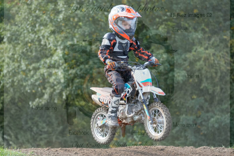 dsc02381-standard-vjd2qr.jpg