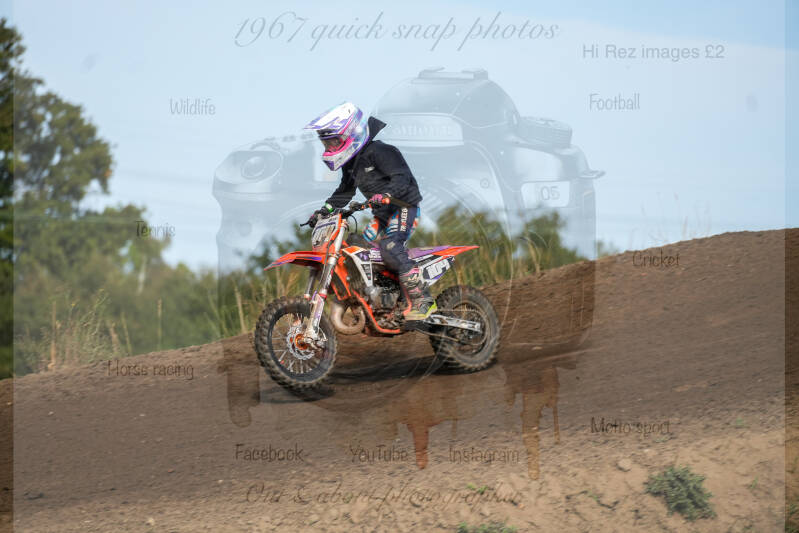 dsc02413-standard-083xyi.jpg