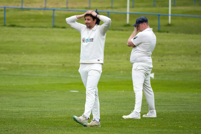 dsc02440-standard.jpg