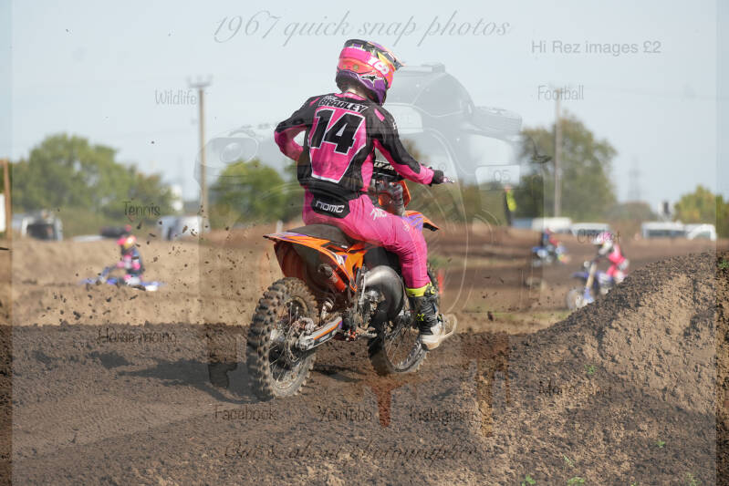 dsc02486-standard-ldlndz.jpg