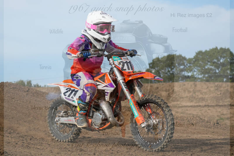 dsc02993-standard-1i1vnw.jpg