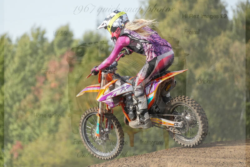 dsc03126-standard-arb67x.jpg
