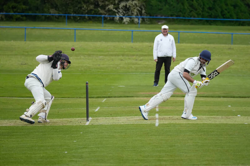 dsc03143-standard.jpg