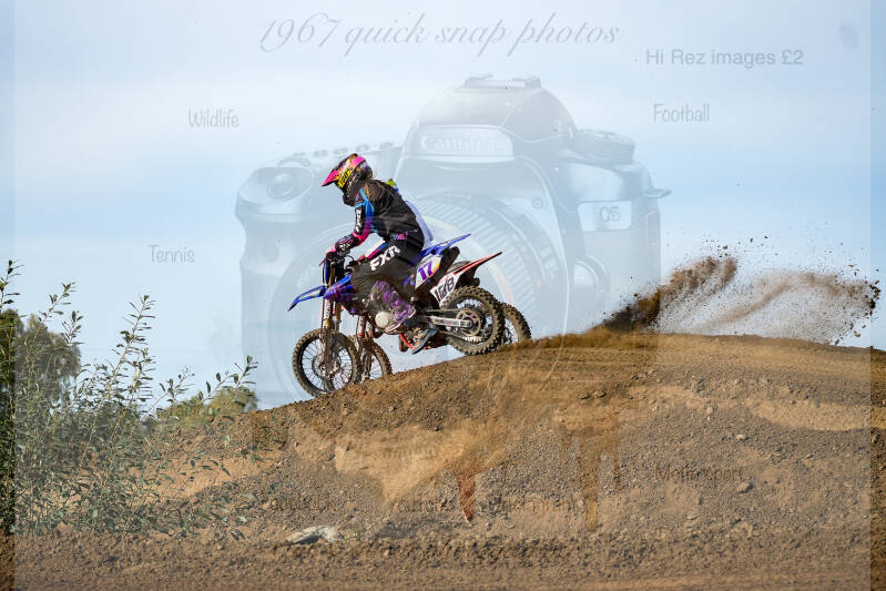 dsc03203-standard-65wukp.jpg