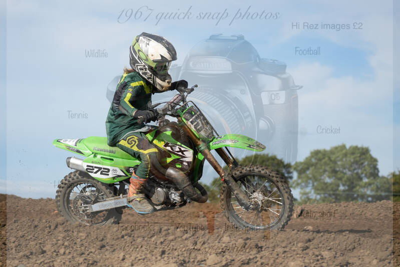 dsc03229-standard-1bgziz.jpg