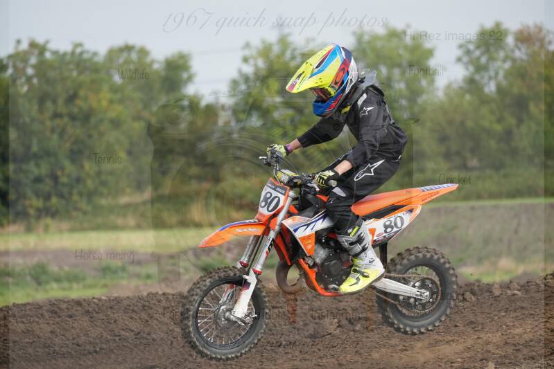 dsc05331-standard-mtzpwa.jpg