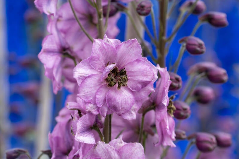dsc06151-standard.jpg