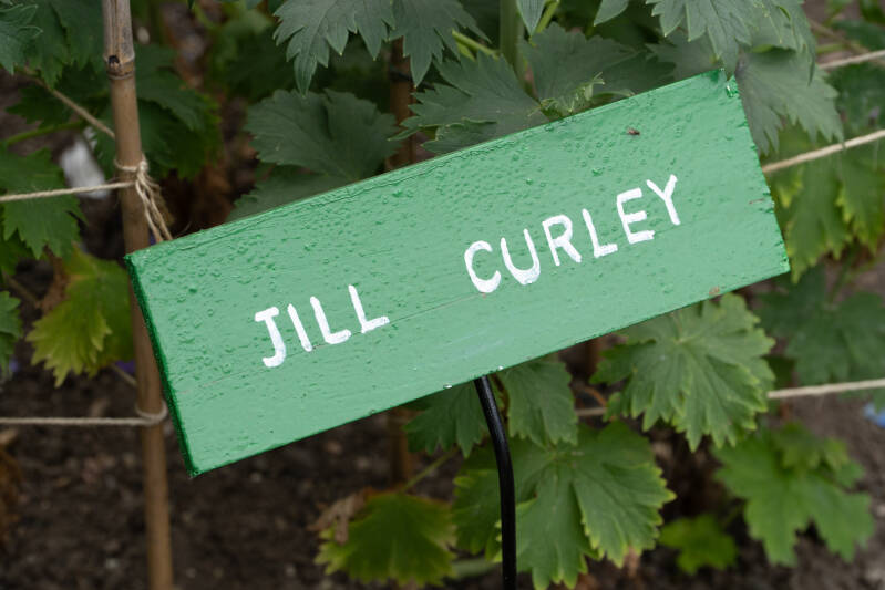 dsc06205-standard.jpg