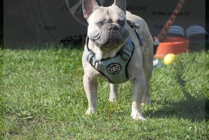 dsc06432-standard-lfqs8c.jpg