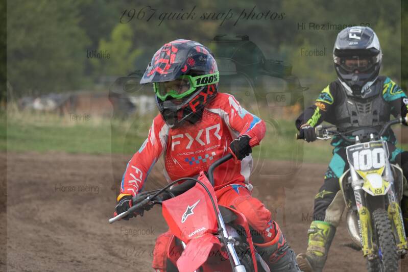 dsc06768-standard-29nniz.jpg